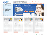 STP Web Hosting Services